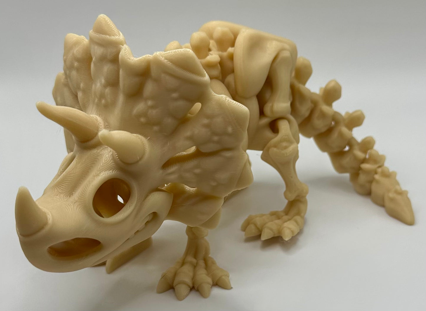 Flexi-Skele-Triceratops
