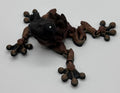 Gemstone Frog