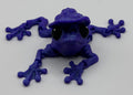 Mushroom Frog