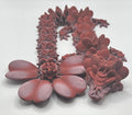 Clover Dragon