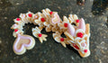 Baby Sugar Cookie Dragon